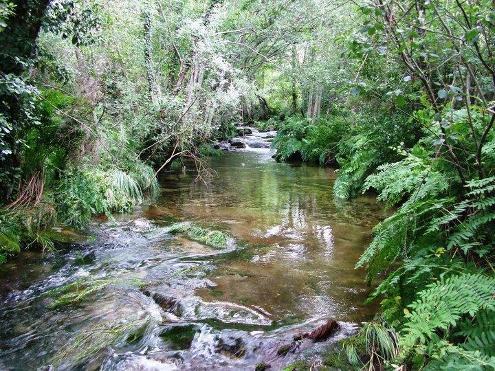 Pension As Termas Bubaces エクステリア 写真
